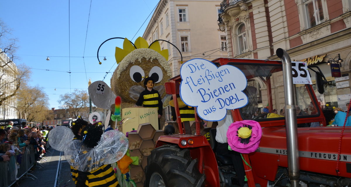 Fotos vom Grazer Faschingszug