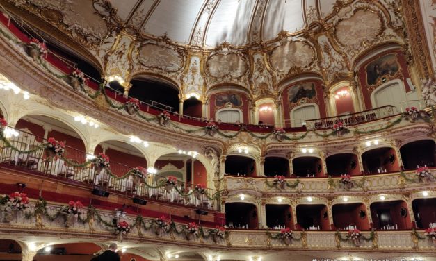 Fotos von der Opernredoute Graz
