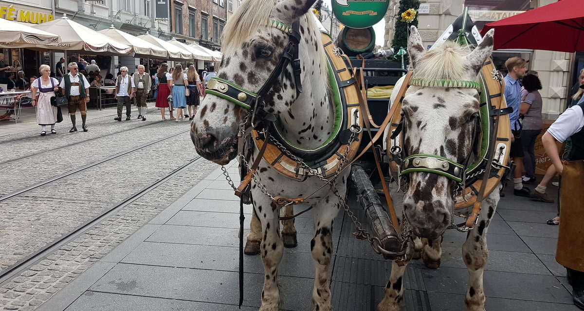 Aufsteirern Graz – Die besten Fotos
