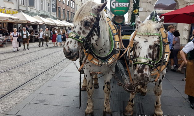 Aufsteirern Graz – Die besten Fotos