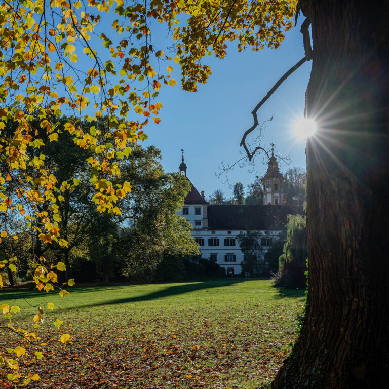 Herbst in Graz: Spaziergänge und Ausblicke